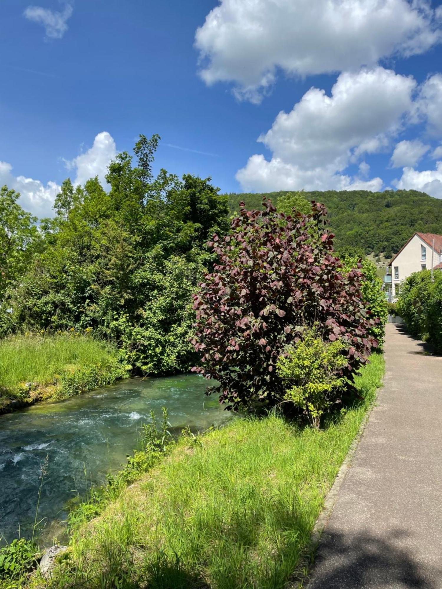 Blickfang Lichtenstein Exteriér fotografie